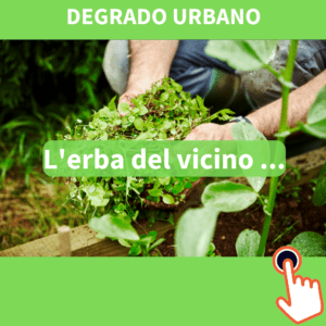 Area Comune - Degrado Urbano - Erbacce